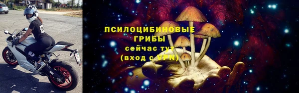 МДПВ Абинск