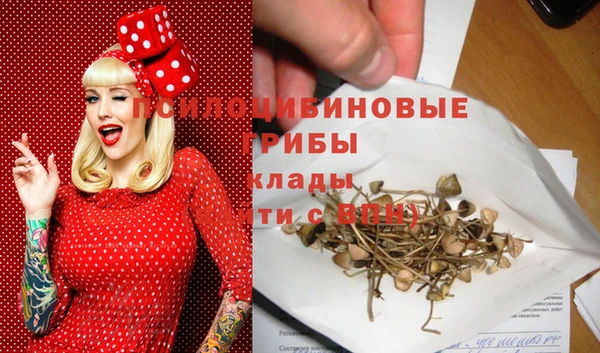 ешки Алексин