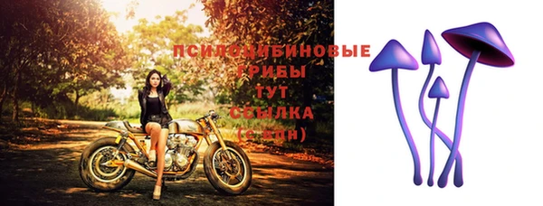 амф Абдулино
