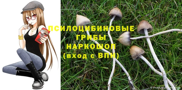 амф Абдулино